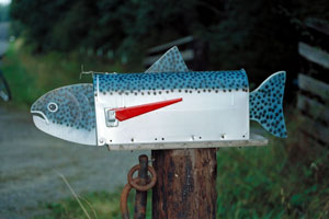 Original Fish Mailbox